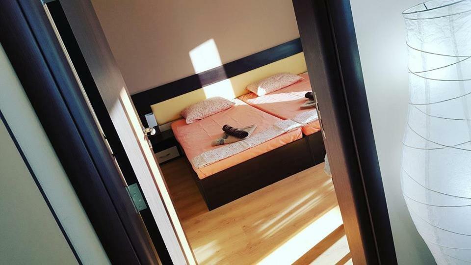 Апартамент Cacao Residence Sunny Beach Dış mekan fotoğraf
